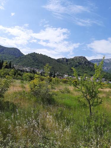 a field of grass with mountains in the background at "Lazaret" SUTOMORE in Sutomore