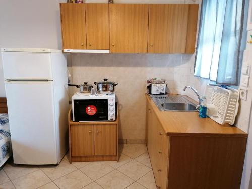 eine kleine Küche mit Kühlschrank und Spüle in der Unterkunft NEW PANORAMA STUDIOS in Paralio Astros
