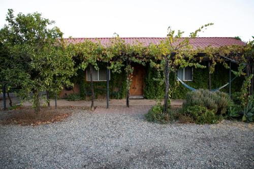 a house covered in ivy with a door and a yard at Terra del Valle Bed & Breakfast in Valle de Guadalupe