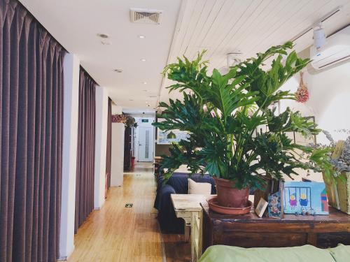 a living room with a potted plant on a table at Peking Youth Hostel in Beijing