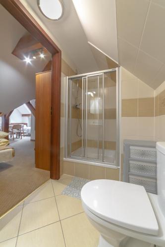 a bathroom with a toilet and a glass shower at Willa SUDETY in Karpacz