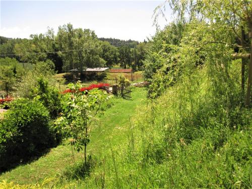 a garden with lush green grass and red flowers at La Pietra Rara B&B in Montone