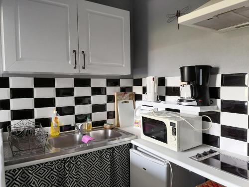 eine Küche mit einer Spüle und einer Mikrowelle in der Unterkunft Les Studios proche du Mont Ventoux in Mazan