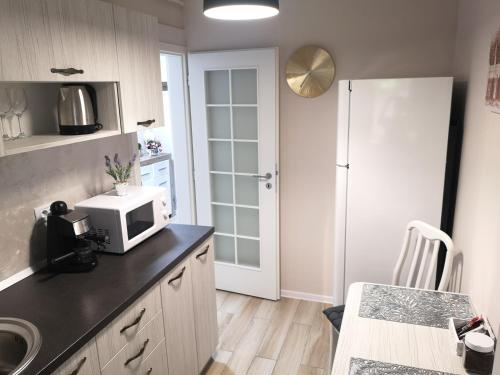 eine Küche mit einer Spüle und einer Mikrowelle auf der Theke in der Unterkunft YNS Apartaments in Iaşi