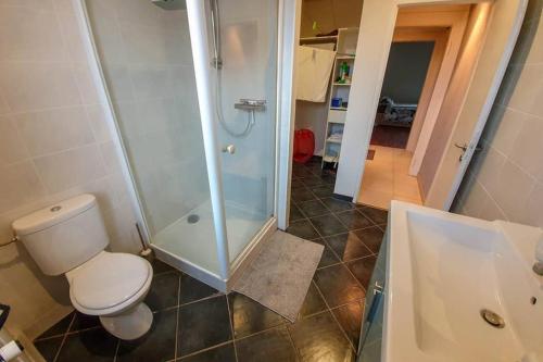 a bathroom with a toilet and a shower at la lauch in Colmar