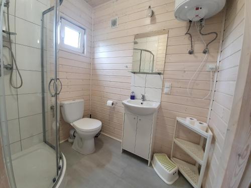 a bathroom with a toilet and a sink and a shower at Domki Nadmorska fala Rusinowo in Rusinowo