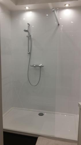 a white bathroom with a shower with a glass counter at Het Kanaalhuis in Kortrijk