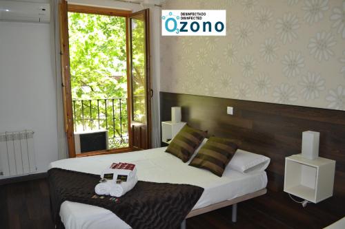 1 Schlafzimmer mit 2 Betten und einem Fenster in der Unterkunft Hostal El Brezo in Madrid