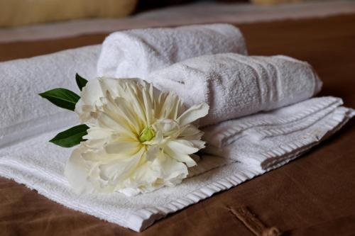- une fleur blanche assise sur les serviettes dans l'établissement Tre colline in langa, à Bubbio