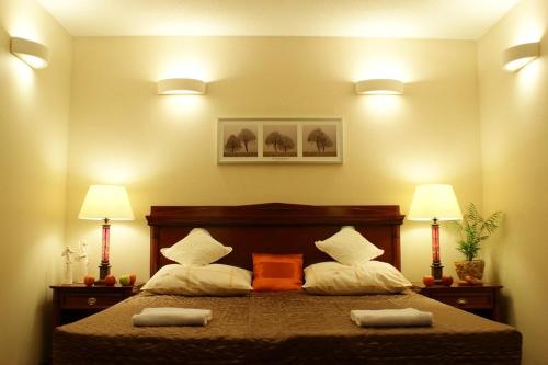 1 dormitorio con 1 cama con almohadas y 2 lámparas en Ośrodek Wypoczynkowy MAX, en Jarnołtówek