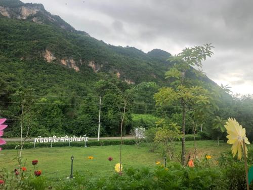 a field with flowers and mountains in the background at ทับศิลารีสอร์ท Tubsila Resort in Chongsadao