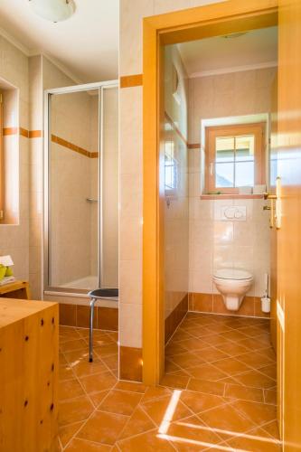 a bathroom with a toilet and a shower at Bio-Bauernhof Obertrattenbachhof in Neukirchen am Großvenediger