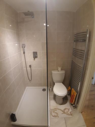 ロンドンにあるCanary Wharf Apartmentのバスルーム(シャワー、トイレ付)
