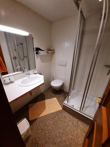 a bathroom with a shower and a sink and a toilet at Gästehaus Burgi in Fügen