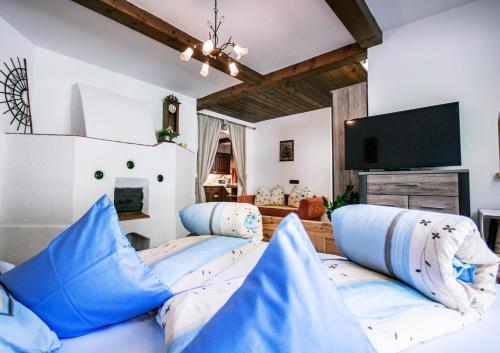 a living room with two couches and a tv at Haus Wulfenia in Neustift im Stubaital