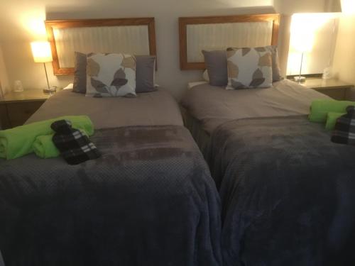 a bedroom with two beds with green and white pillows at Otters Green in Botley