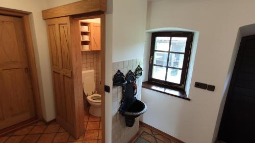 a bathroom with a toilet and a window at Country House Pri Lipet Žiri in Žiri