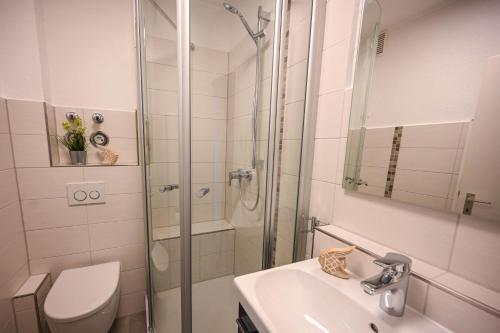 a bathroom with a shower and a toilet and a sink at Haus am Deich Wohnung 5 in Dahme