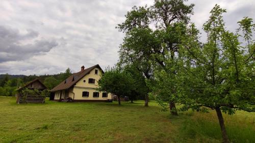 a white house in a field with a tree at Country House Pri Lipet Žiri in Žiri