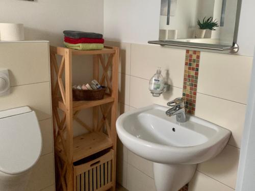een badkamer met een wastafel, een toilet en een spiegel bij Ferienwohnung bei Kappeln an der Schlei in Kappeln