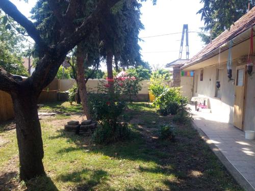 a yard with a tree next to a building at Gyöngyösi Kertes Ház in Gyöngyös