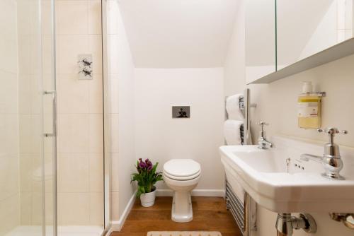 a bathroom with a toilet and a sink and a shower at Barrow Hill Barns in Petersfield