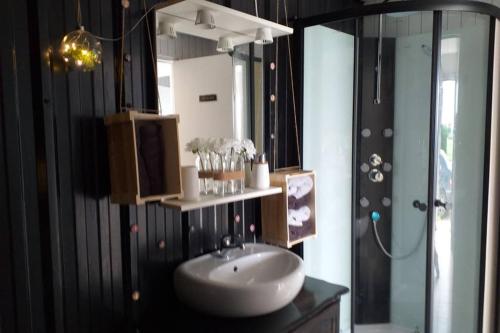 a bathroom with a sink and a mirror at L'appart in La Chapelle-de-Brain