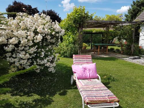 a bench in a yard next to a bush with flowers at BnB Seaview in Kesswil