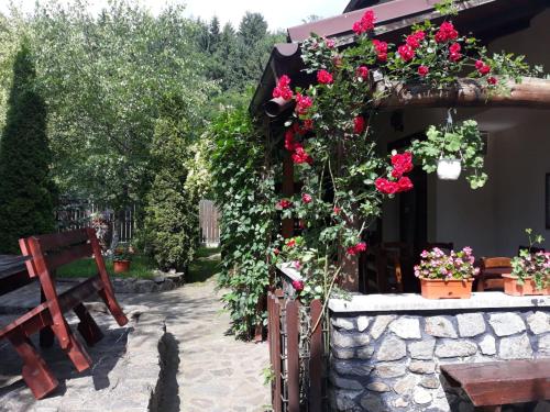 a garden with roses on a wall and a bench at Pensiunea Trei Ponei in Corbeni