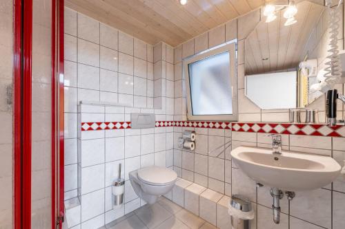 a bathroom with a toilet and a sink at Landgasthof Eschbacher Katz in Usingen