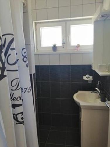 W łazience znajduje się prysznic i umywalka. w obiekcie Miroslav w Bašce