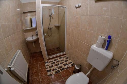 a bathroom with a shower and a toilet and a sink at Fenyves Csárda Vendégház in Nyíradony