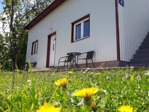 a house with a table and a chair in a field of flowers at Domaćinstvo Krstajić - Rural holiday in Žabljak