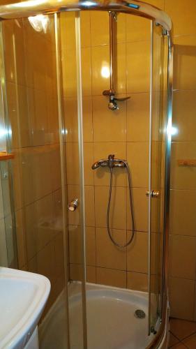a shower with a glass door in a bathroom at Domki "Pod Sumakiem" in Dębina