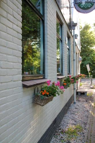 Taman di luar 't Wapen van Middelie
