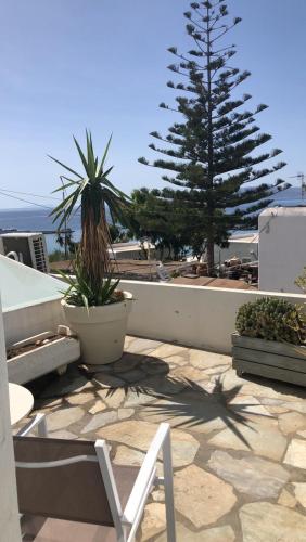 a chair and a pine tree on a patio at Rania Apartments Sea View in Mýkonos City