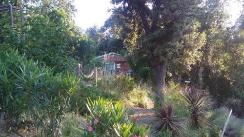 Afbeelding uit fotogalerij van Le petit chalet in Porticcio