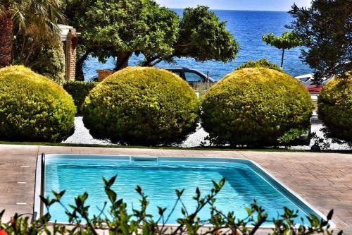 a blue swimming pool in front of some bushes at Korakas Beach in Rodakino