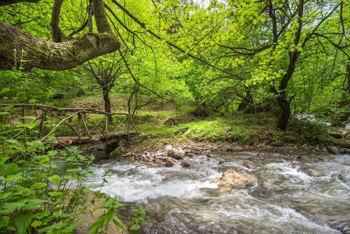 a stream in a wooded area with a bridge at DiliJazz Hotel & Restaurant in Dilijan