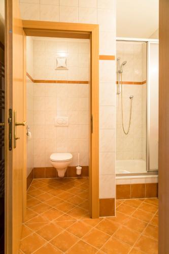 a bathroom with a toilet and a shower at Bio-Bauernhof Obertrattenbachhof in Neukirchen am Großvenediger