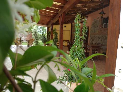 Gallery image of Agriturismo Il Selvello in Le Versegge