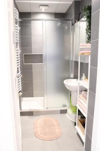 a bathroom with a shower and a sink at Apartmány Agáta Abertamy in Abertamy