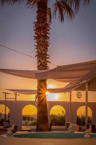 a palm tree sitting next to a white umbrella at Aliki Panorama Rooms -breakfast included- in Aliki