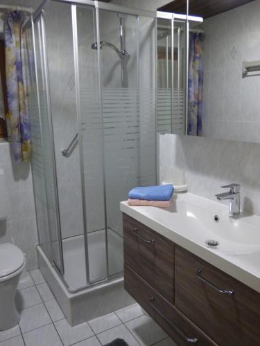 a bathroom with a shower and a sink and a toilet at Ferienwohnung Embacher in Söll