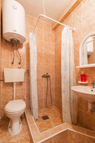 a bathroom with a toilet and a shower and a sink at Room Dragičević with Garage in Budva