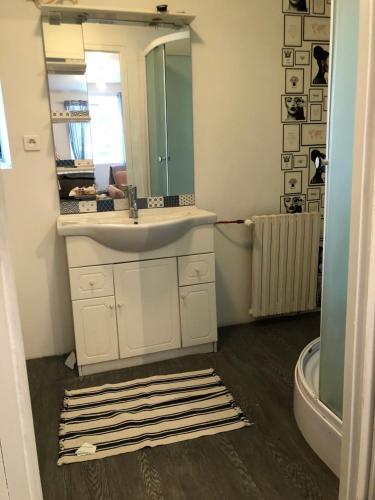 une salle de bain avec un lavabo et un miroir dans l'établissement studio 20 min de la mer idéal pour les déplacements professionnels, à Plouaret