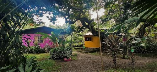 Photo de la galerie de l'établissement Cabinas Algebra, à Cahuita