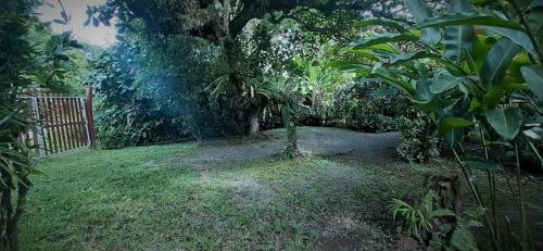 Ein Garten an der Unterkunft Cabinas Algebra