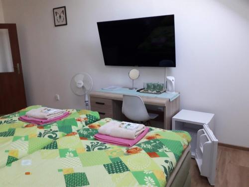 TV a/nebo společenská místnost v ubytování Penzion Na Hrazi