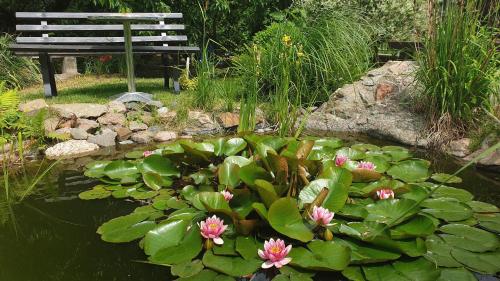 a pond with flowers and a bench in a garden at Zimmervermietung Koltermann in Greifswald